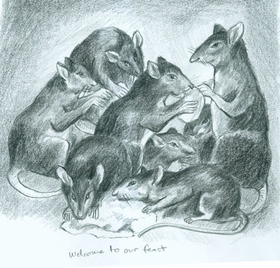 draw rats