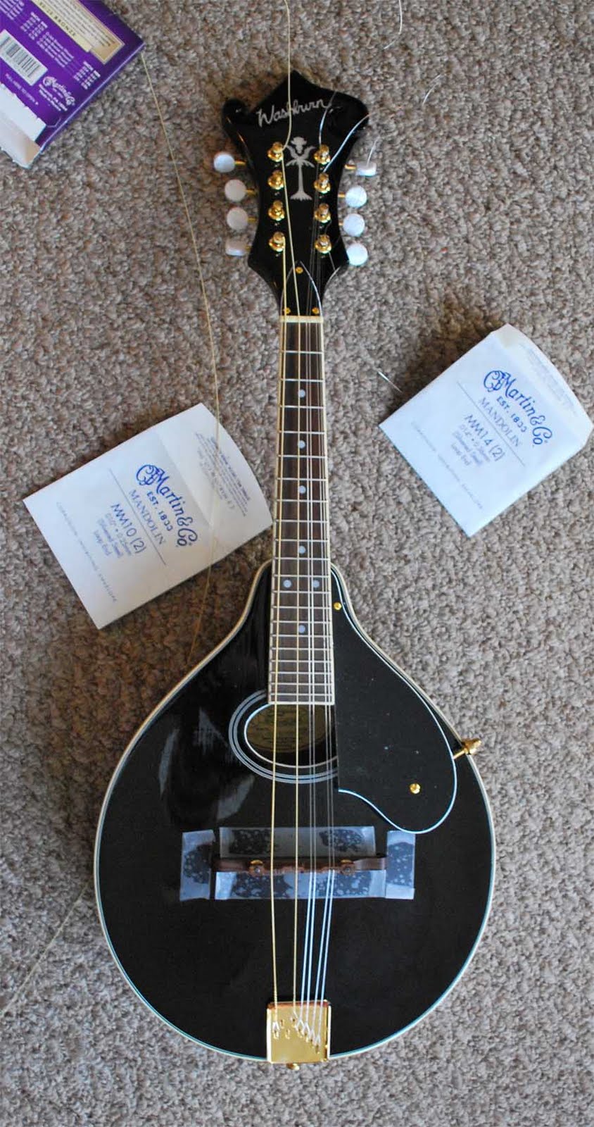 outside of the bubble Setting up a mandolin