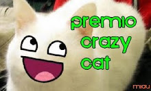 Premio super chachi