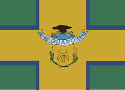 Bandeira Guapó