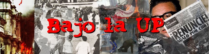 1000diasdeterror