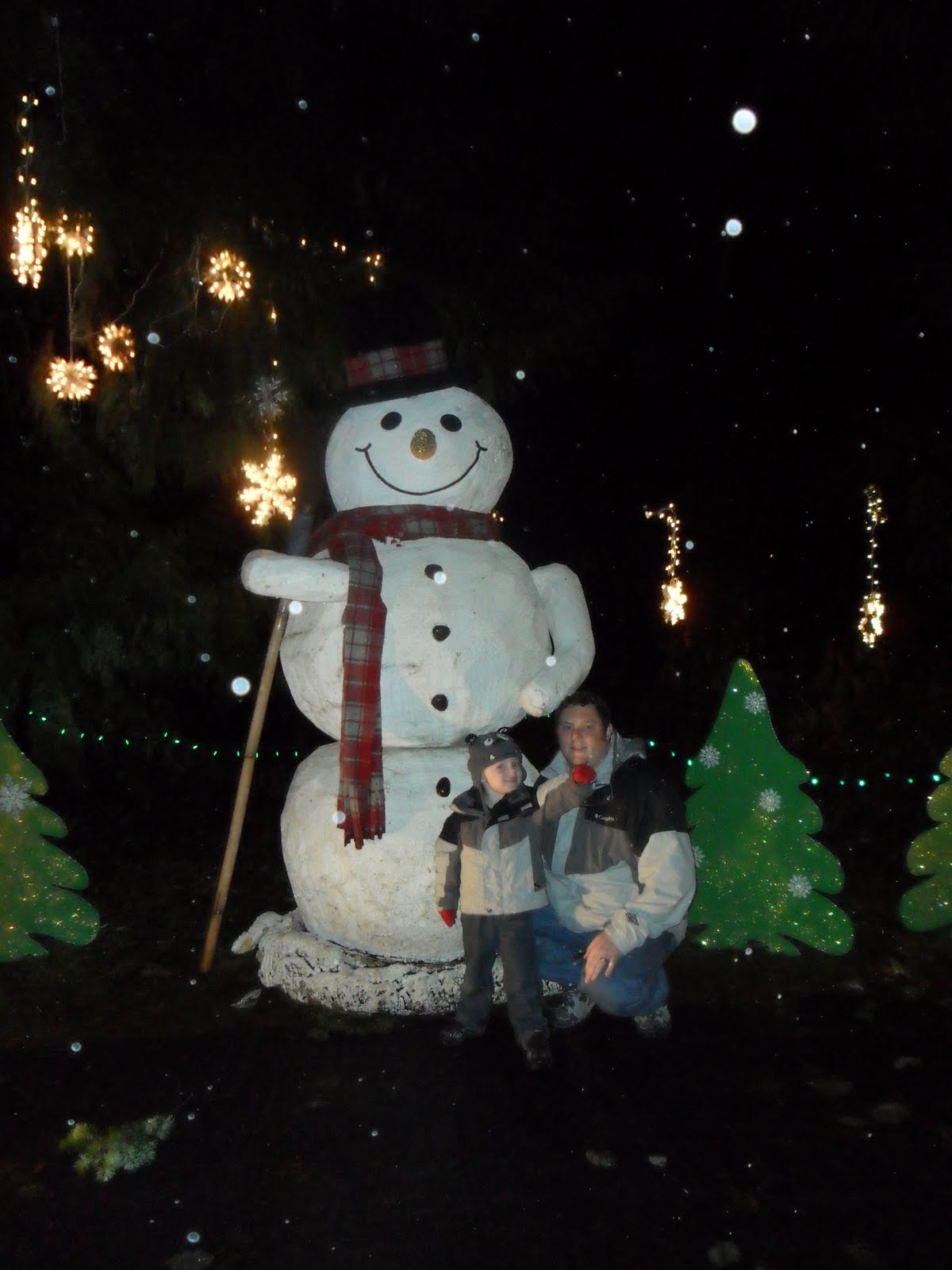 Life as Vinny's mom Warm Beach Christmas Lights