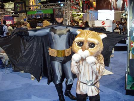 [img008.jpeg.medium.jpg]