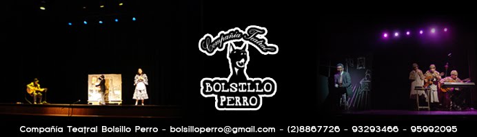 BolsilloPerroHistoria