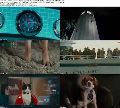 Cats Dogs: The Revenge of Kitty Galore 2010 - IMDb