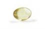 Cholesterol+gallstones
