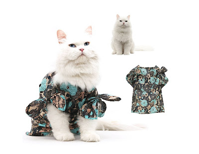 fashionable-cats-06.