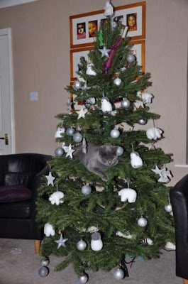 Funny cat and christmas tree