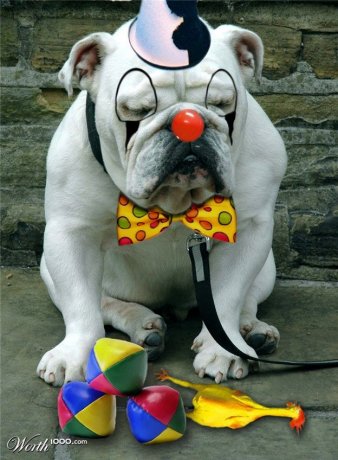 Animals-clowns-photoshopped-07.jpg