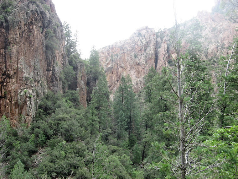 Gila Wilderness