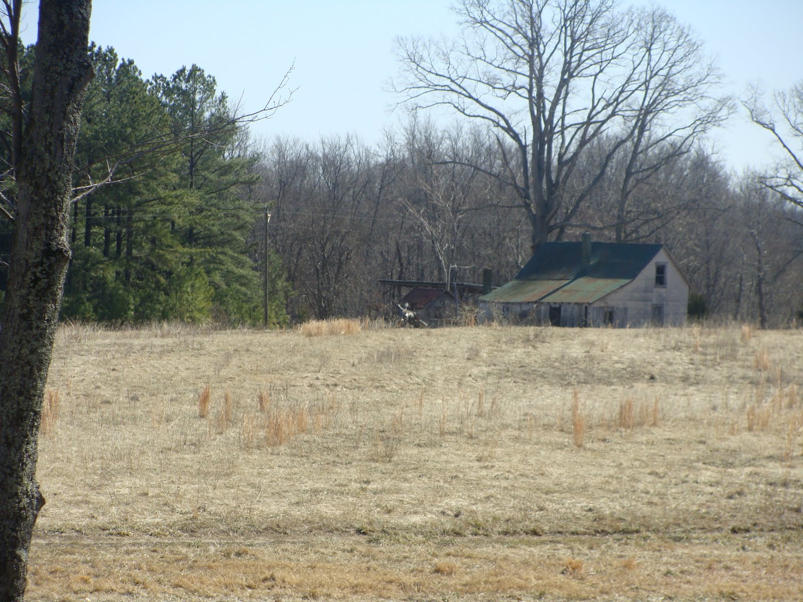 [DSC01761.JPG]