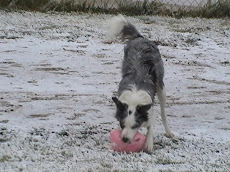 Breeze in the snow