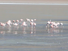 Salar de Uyuni