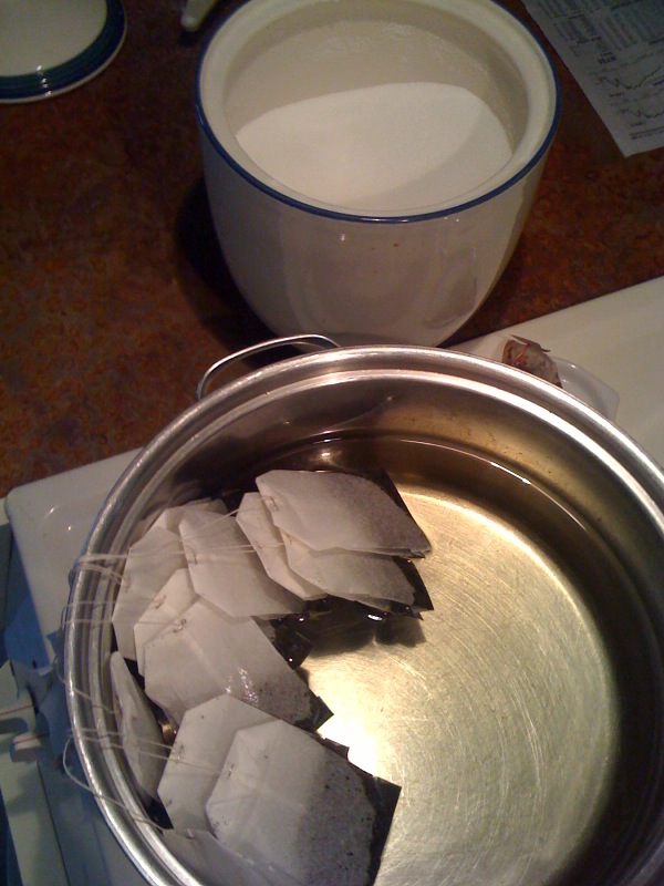 Real Food in Little Rock How to Make Kombucha