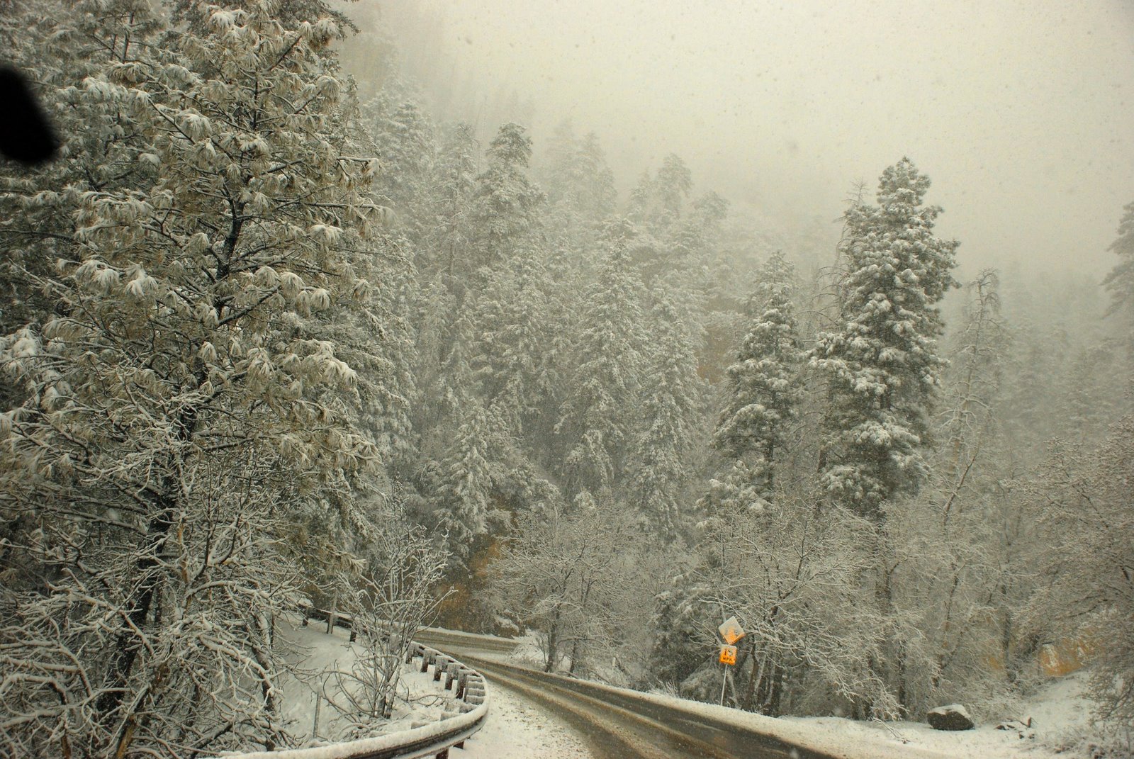 [DSC_6261.JPG]