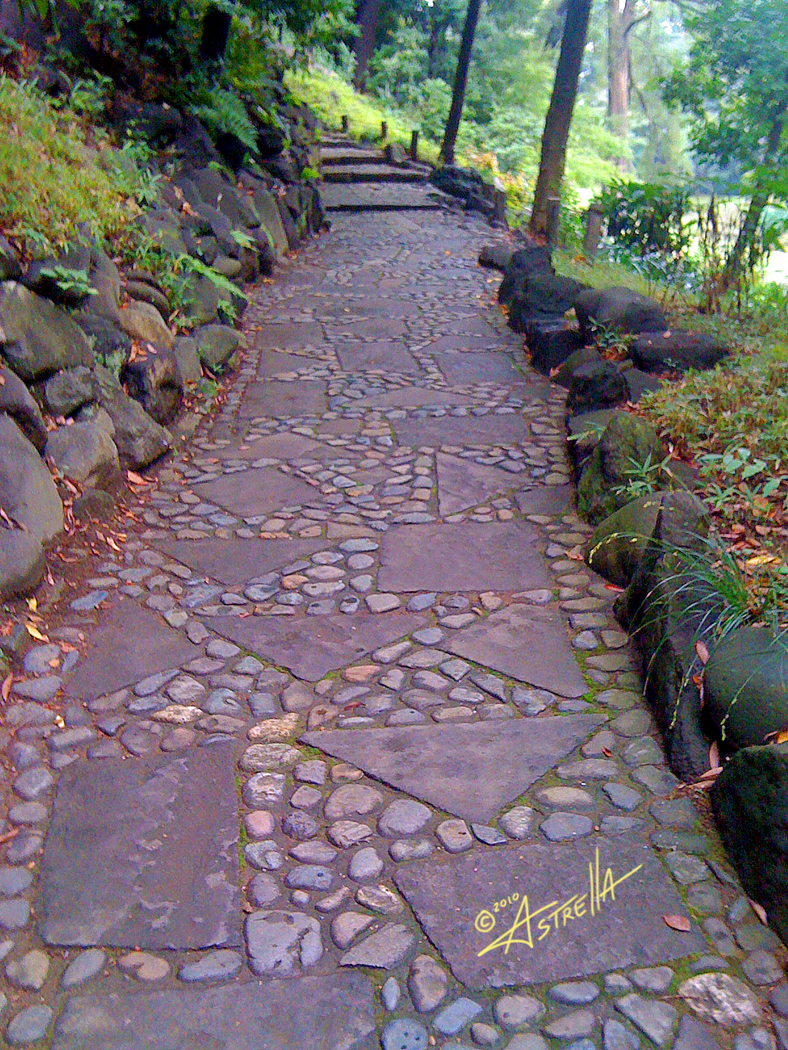 Cobbled Pathways