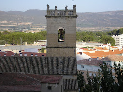 CAMPANAR desde parque