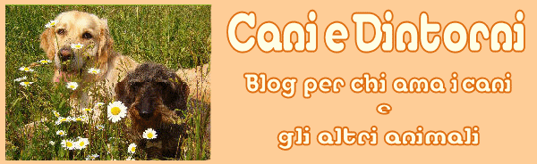 Cani e dintorni