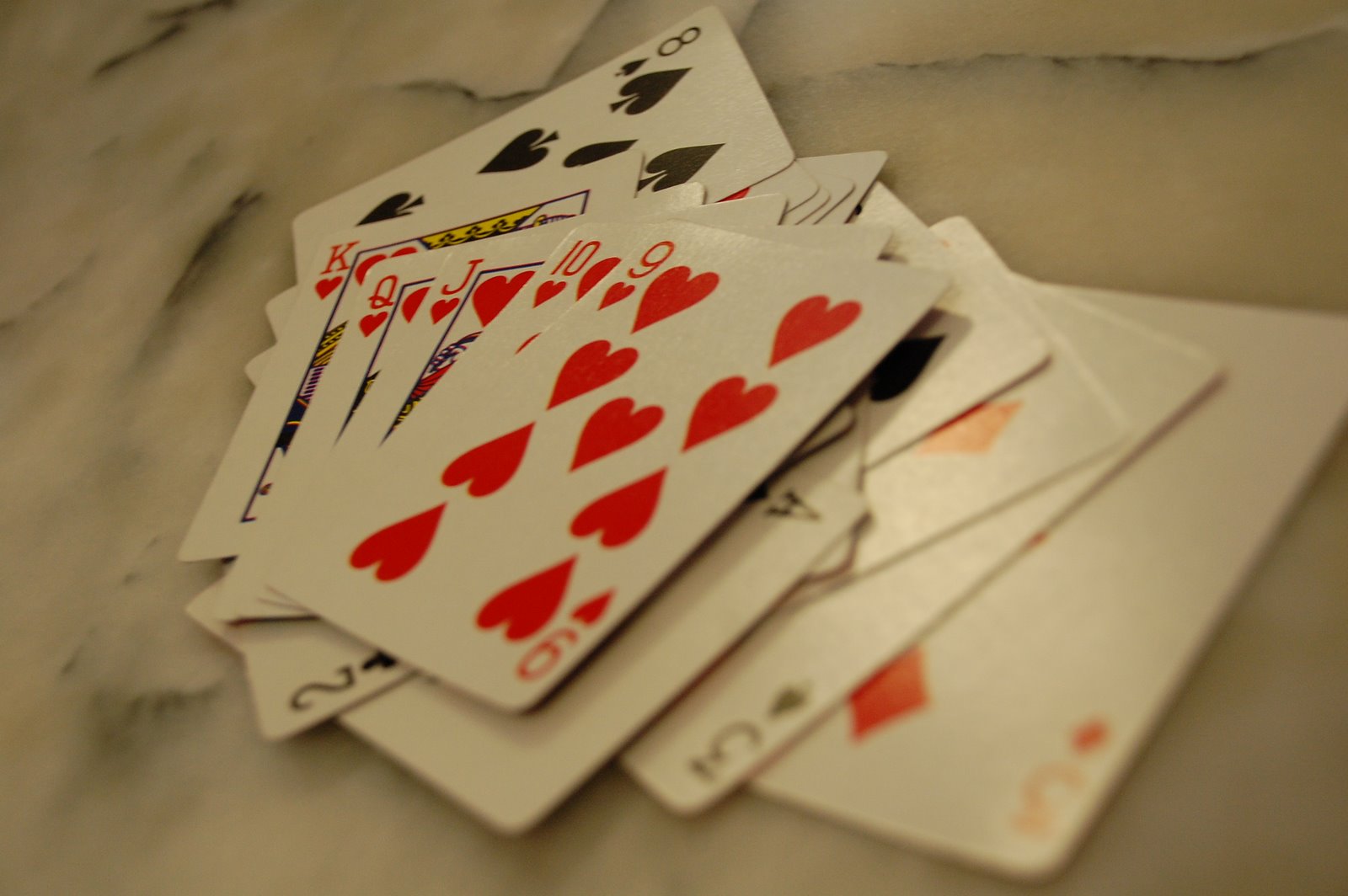 [DSC_2286.JPG]