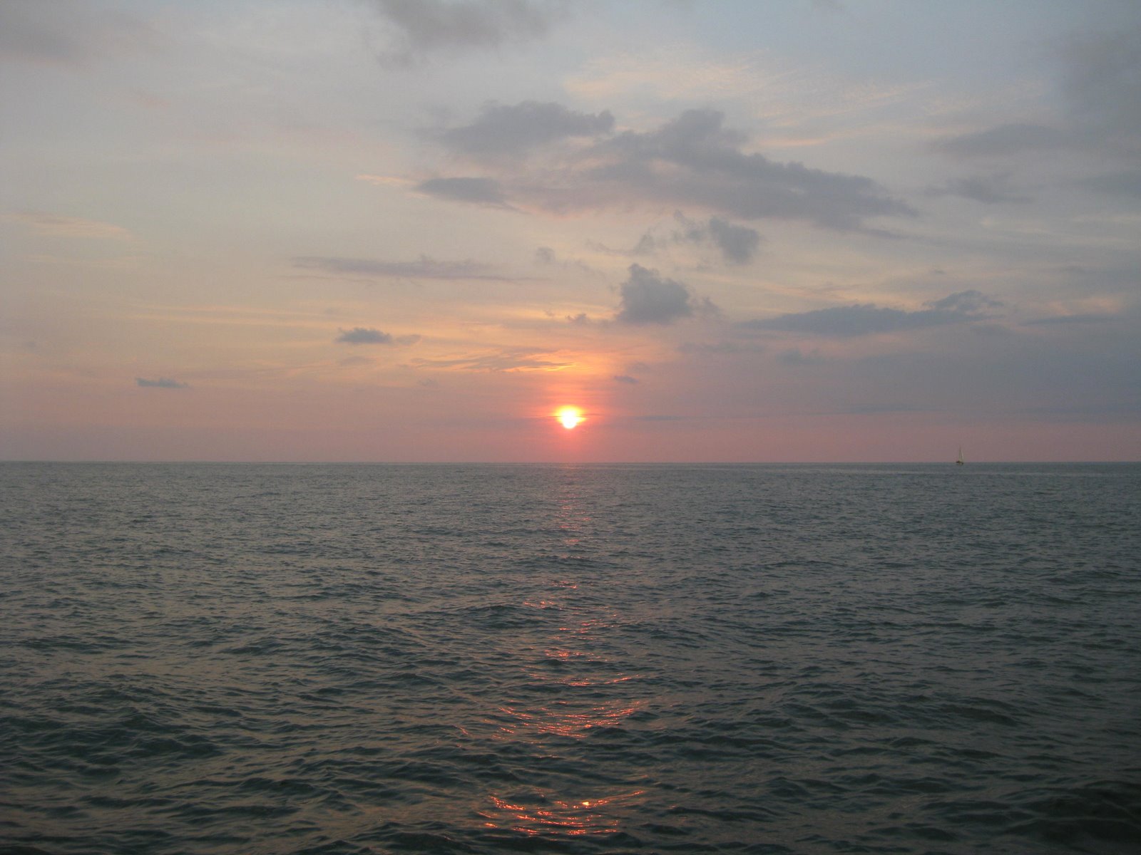 [IMG_0716.JPG]
