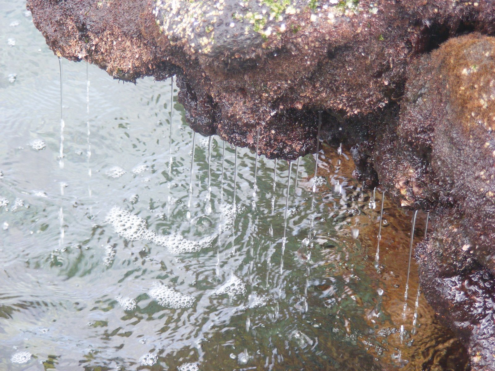[DSCF3748.JPG]