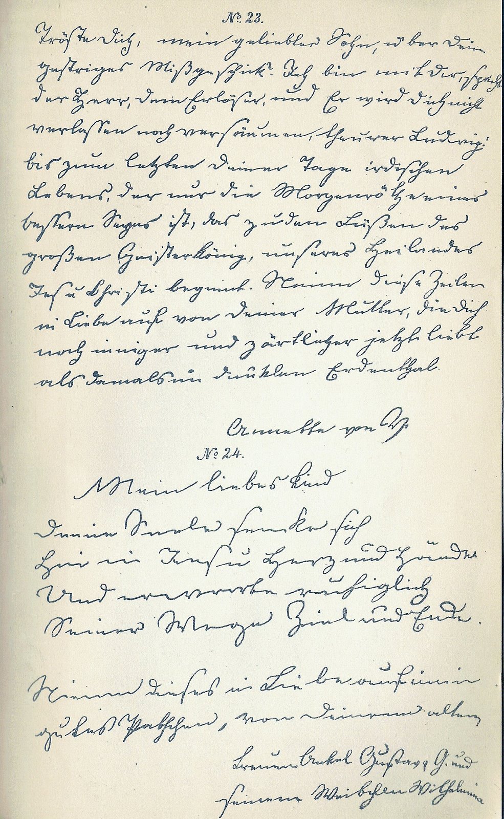 [Guldenstubbe10.jpg]