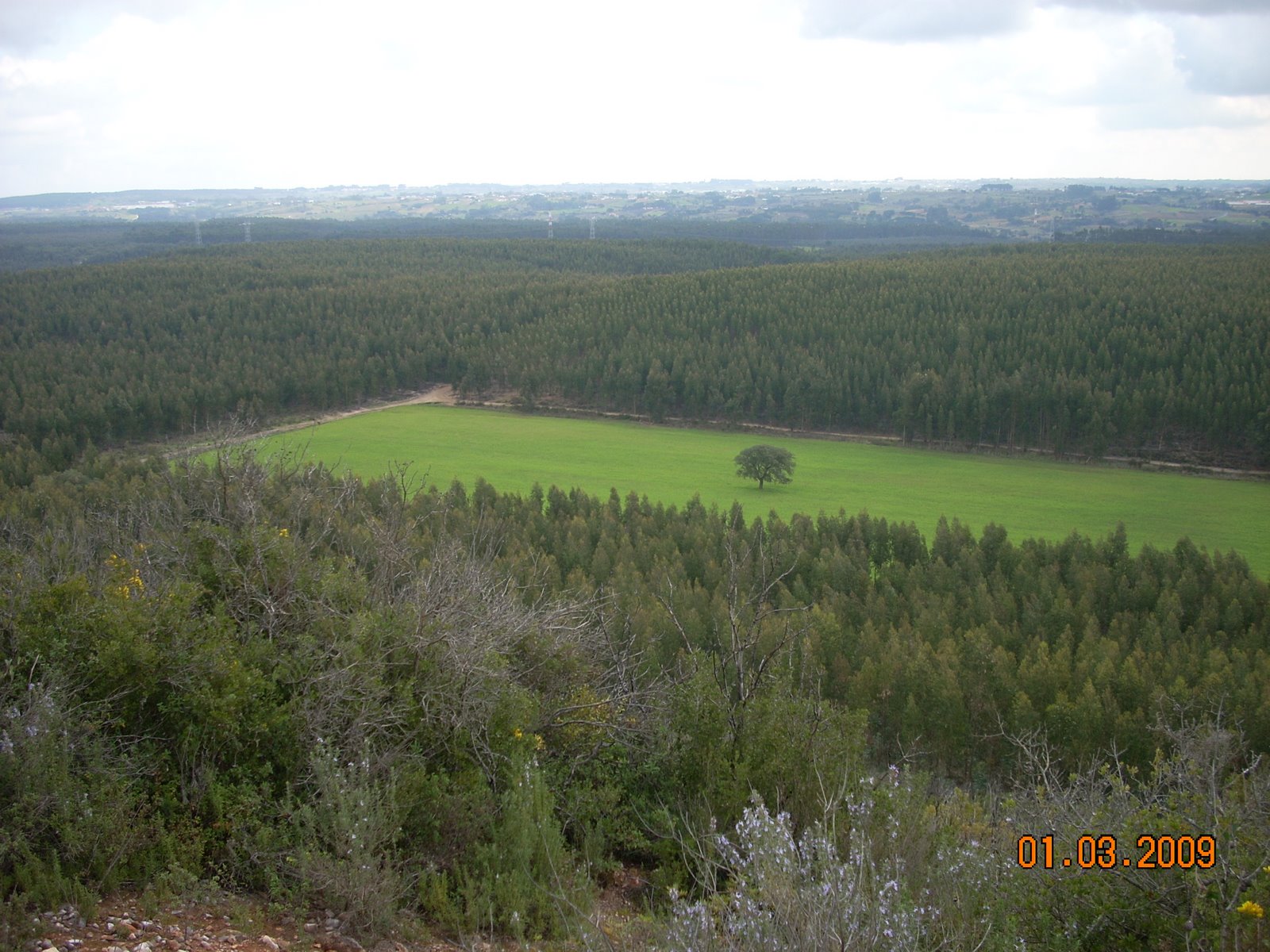 [Picture+020.jpg]