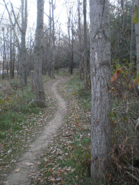 [trail.JPG]