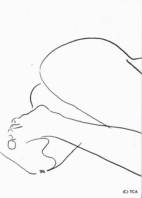[TCA035.jpg]