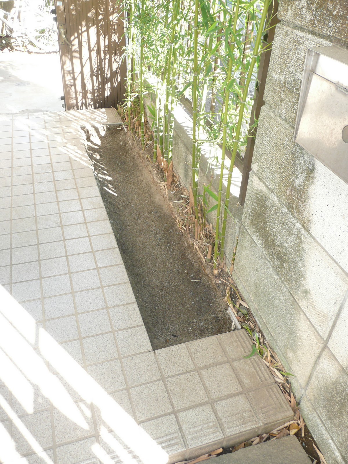 カメ吉とガーデニング 竹と玉砂利のある玄関