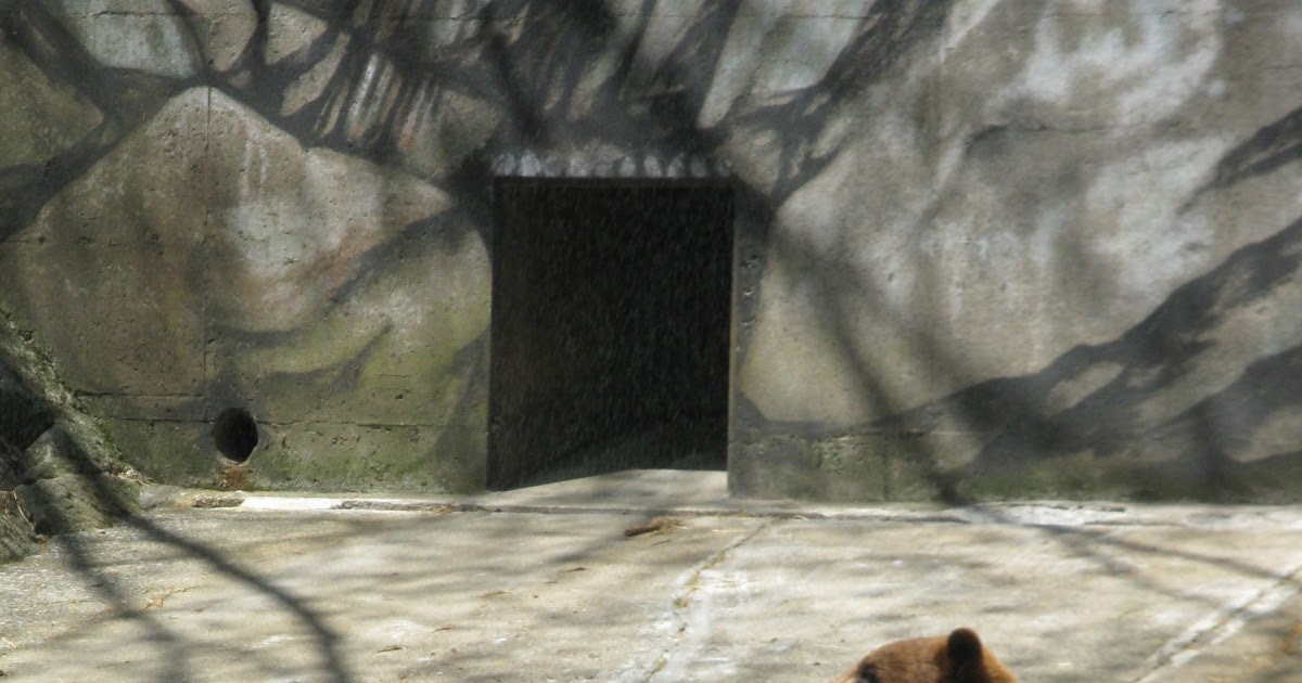 The Lonesome Hiker The Bear Mountain State Park Trailside Museum and Zoo