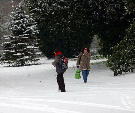 [wd3205341snow-4-eb-02.jpg]