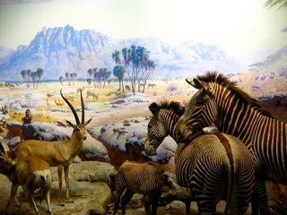[IMG_3138.JPG]