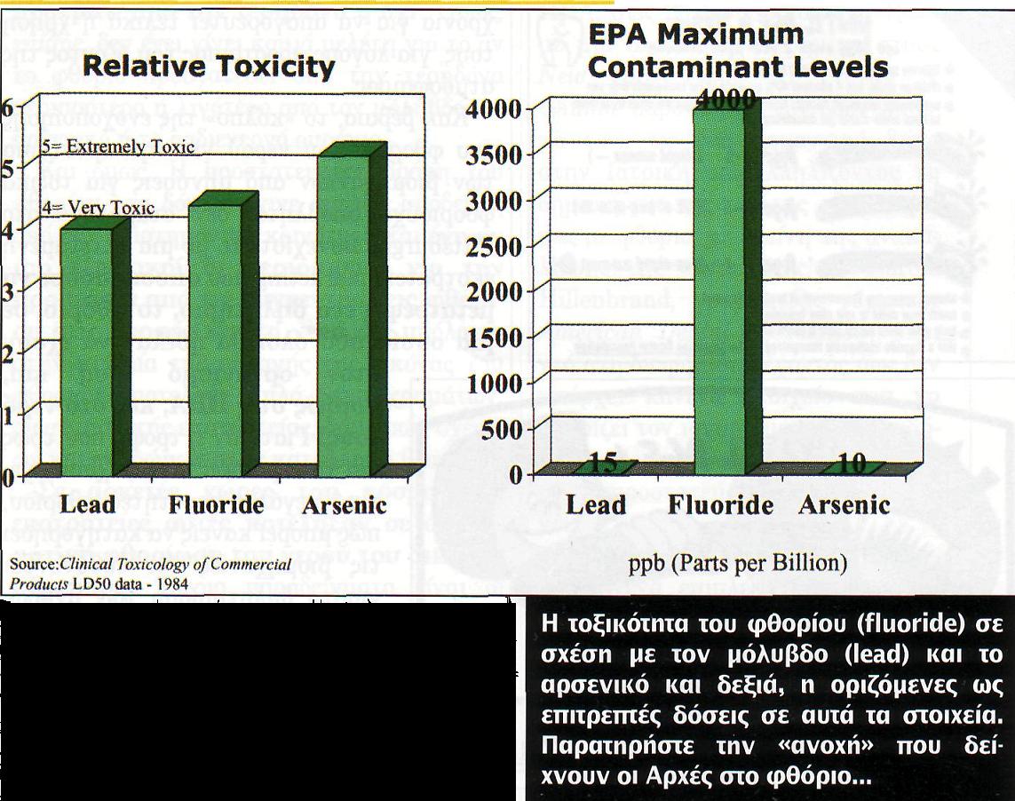 [ΦΘΟΡΙΩΣΗ+2.JPG]
