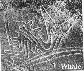 Nazca line Peru
