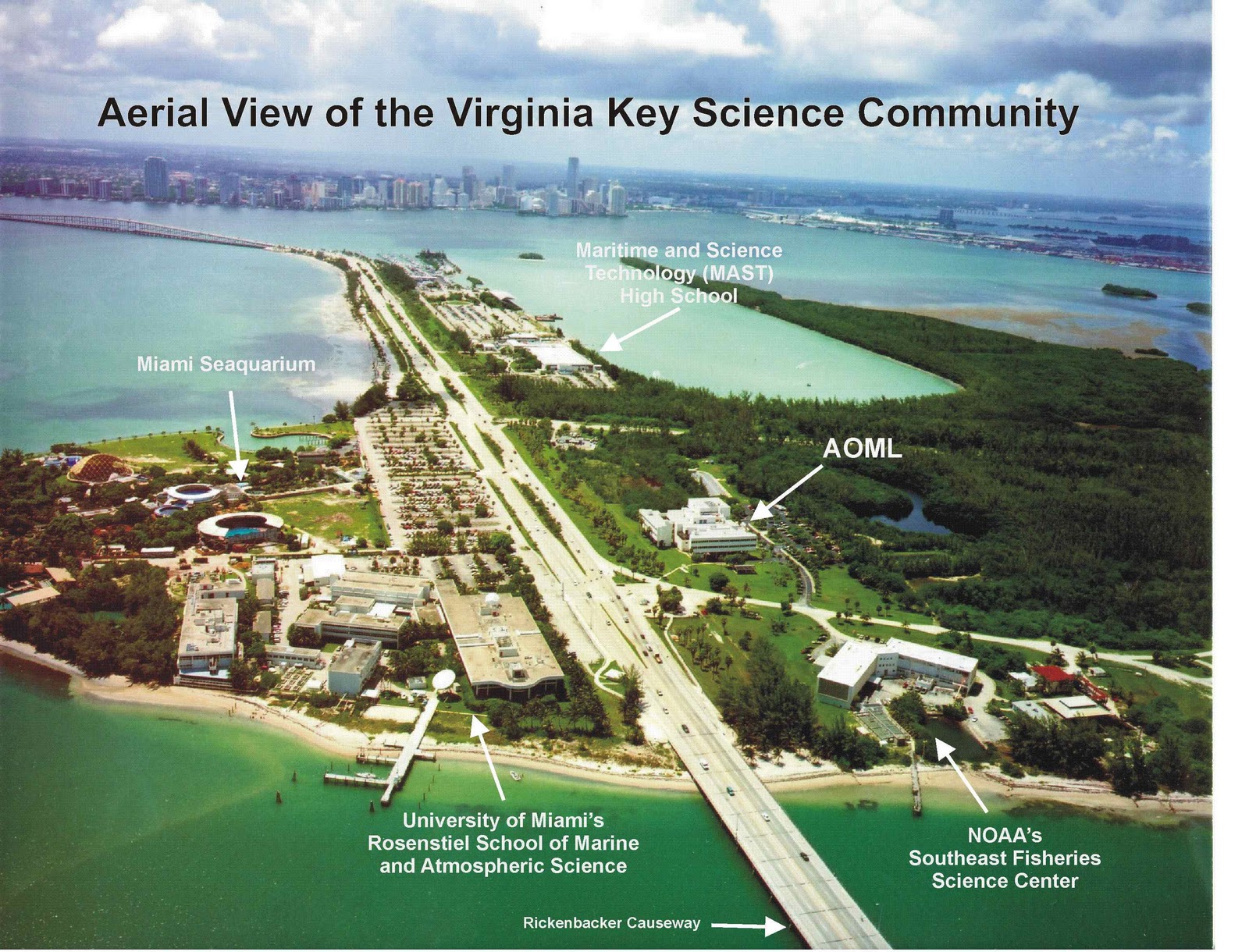 View From Virginia Key