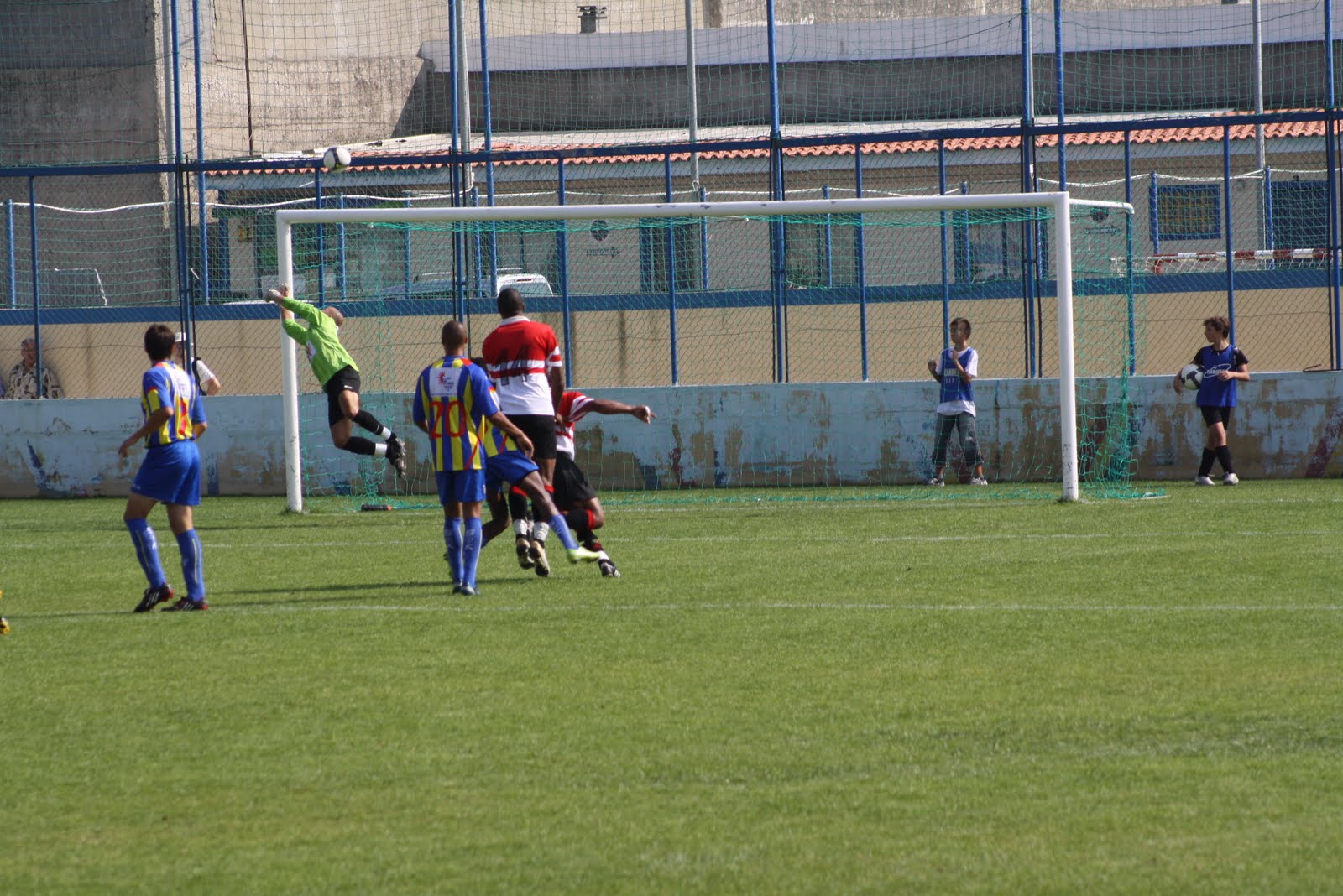 [IMG_2956[1]]