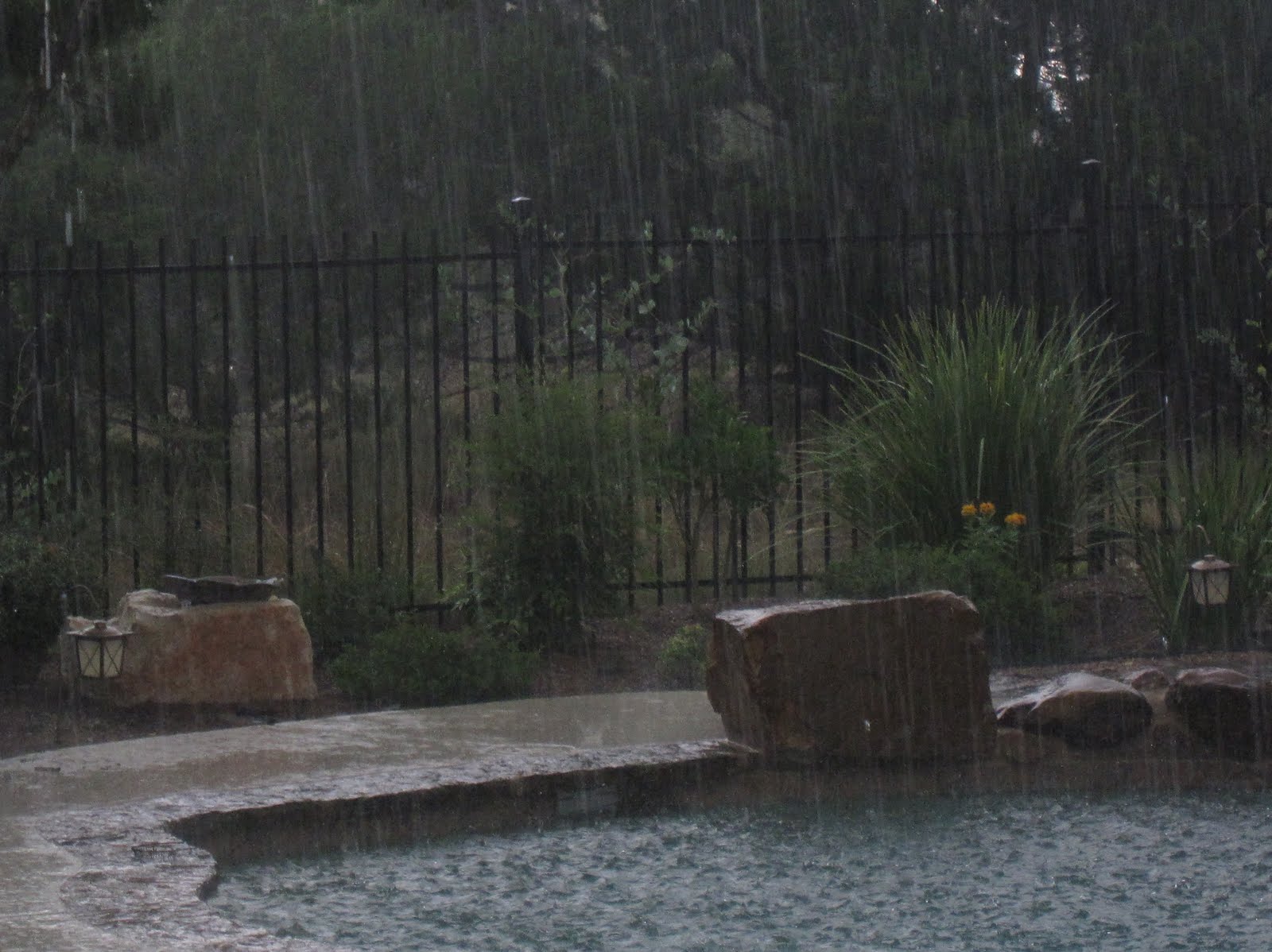 [rain+006.JPG]