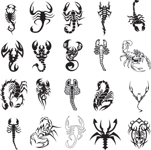 Scorpion Tattoos Images of Various Scorpion Tattoos Images of Various
