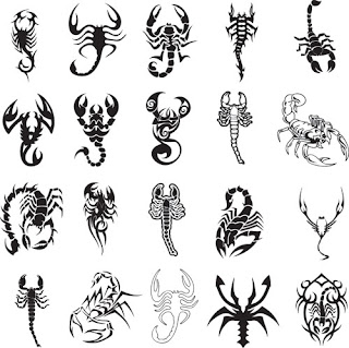 Scorpion Tattoos Images of Various