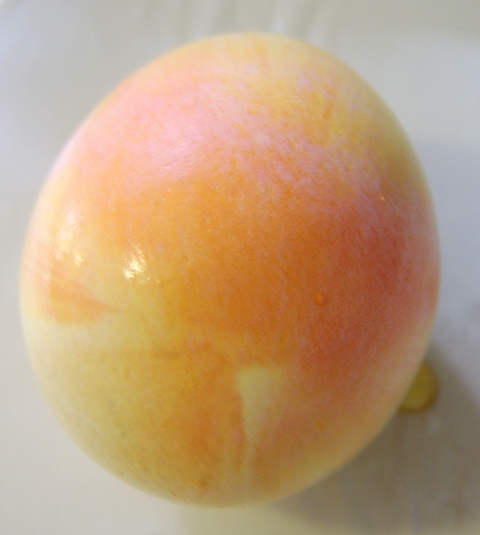 [apricot.JPG]