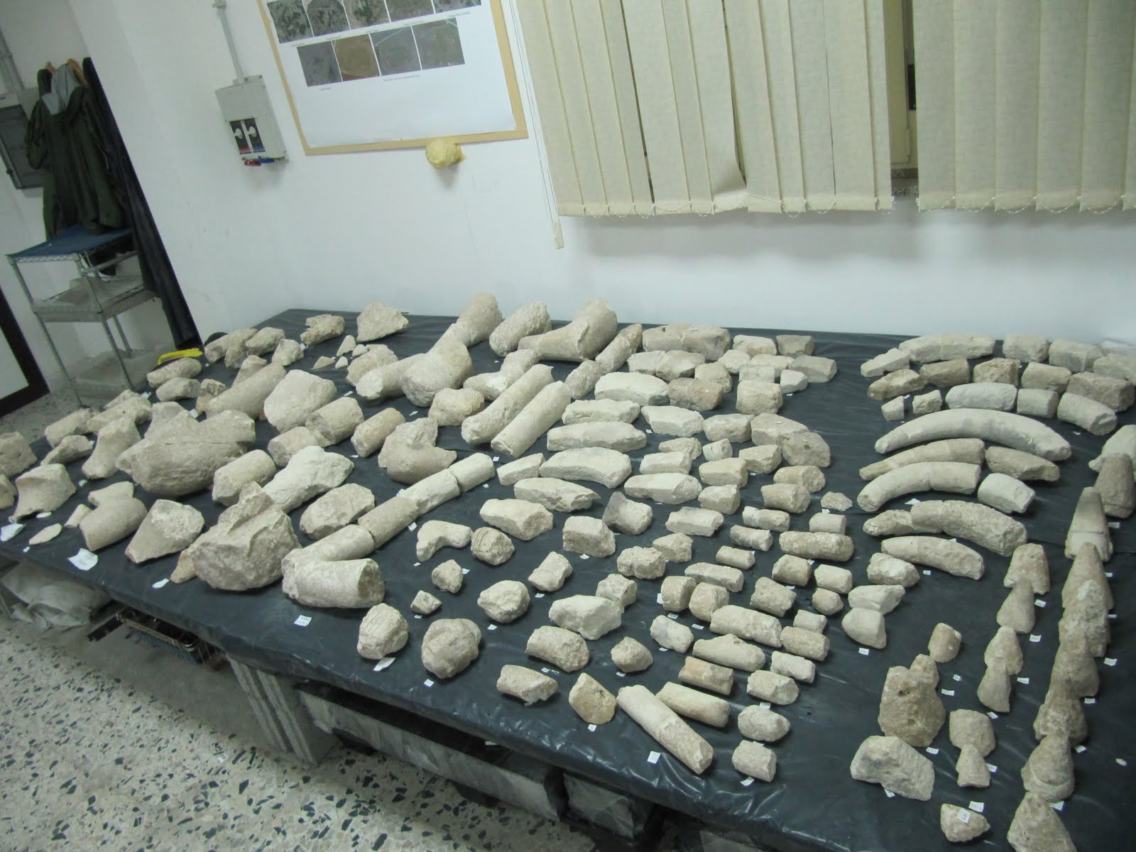 Quotidiano honebu di storia e archeologia: ottobre 2010 Vasca rotonda in pietra antica