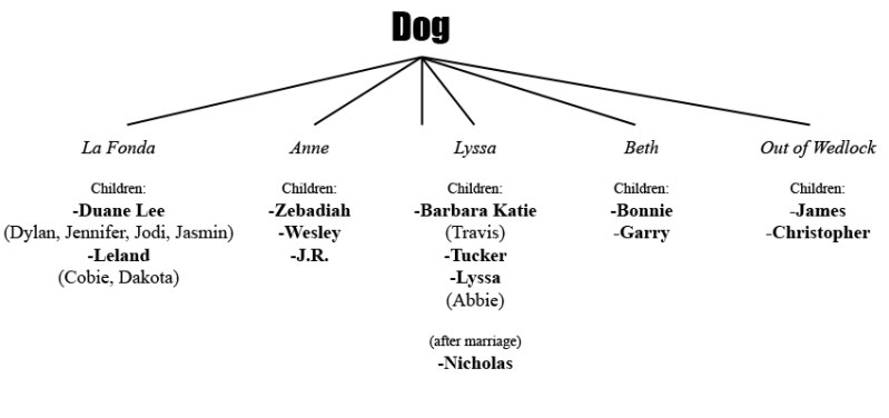 the bounty family the bounty family tree breeds picture the bounty family the bounty family tree breeds picture
