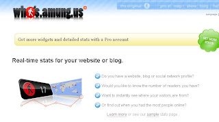 melihat jumlah pengunjung online, whos.amung.us