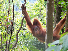 Indonesia Travel Journal