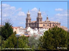 CATEDRAL DE JAÉN