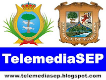 Telemediasep