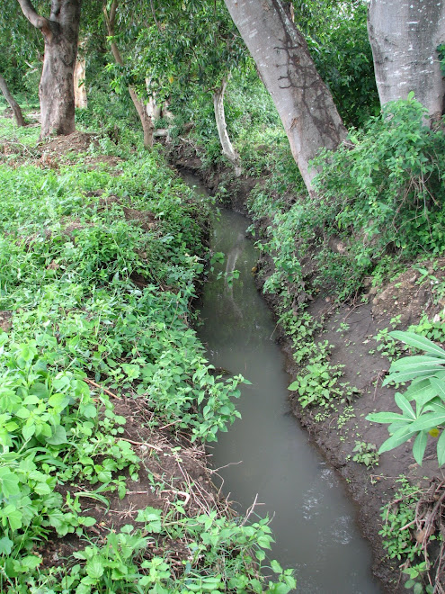 Our Stream