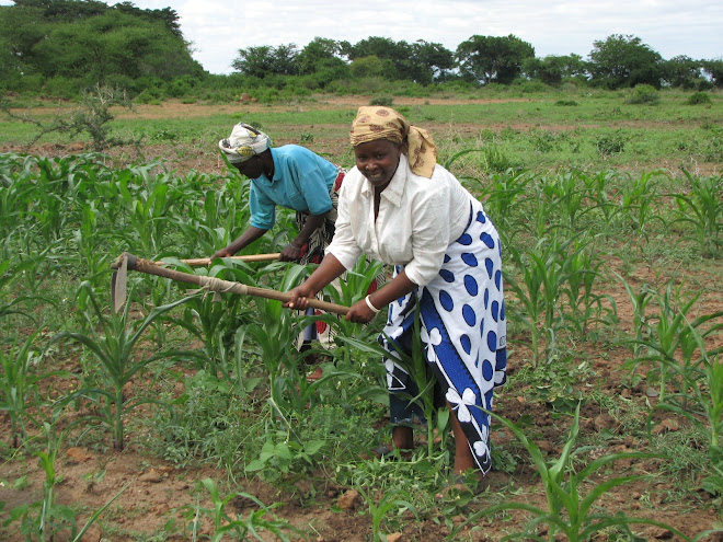 Kikwe Women Working the Land