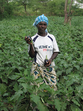 Juliet and her eggplant farm